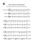 Frogs Singing