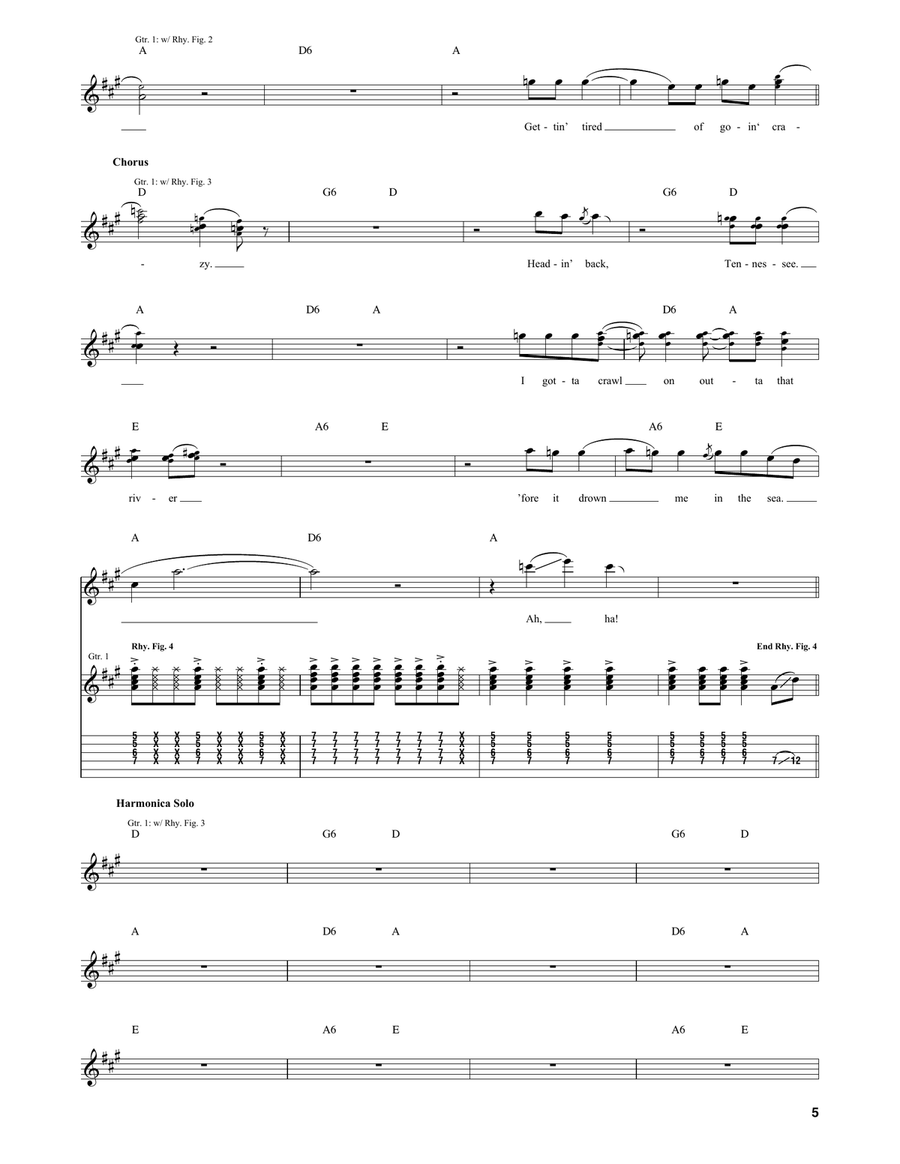 Too Much Whiskey Too Much Whiskey Electric Guitar scores gallery preview page 5