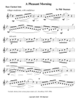 A Pleasant Morning-bass clarinet solo