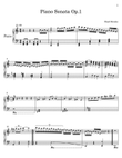 Klaviersonate op.1