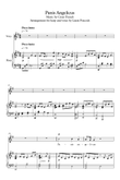 Panis Angelicus - Pedal Harp and Voice
