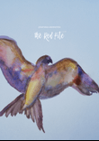 Opus 14: The Red Kite