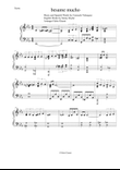 Besame Mucho (Kiss Me Much)