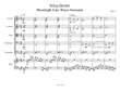 String Quintet - Moonlight Like Water Serenade
