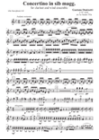 Gaetano Donizetti - Concertino in Sib maggiore - for clarinet and wind ensemble