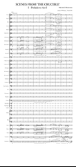 Scenes from 'The Crucible' for Orchestra