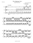 Sergei Rachmaninoff - Trio élégiaque No.1 in G minor (arr. for piano quartet - piano, violin, viol