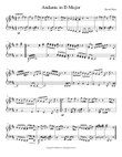 Andante in D Major