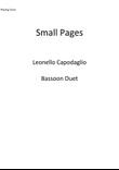 Small Pages
