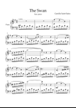 The Swan (easy piano)