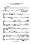 FLUTE DESTINATIONS - Alto Flute and Concert Flute Duet