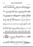 Duel: for Viola and Cello - Cello