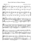 Boccherini Passa Calle - arr. for Violin & Cello