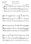 Trumpet Voluntary (Jeremiah Clarke) arranged for Organ Solo