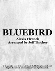 Bluebird