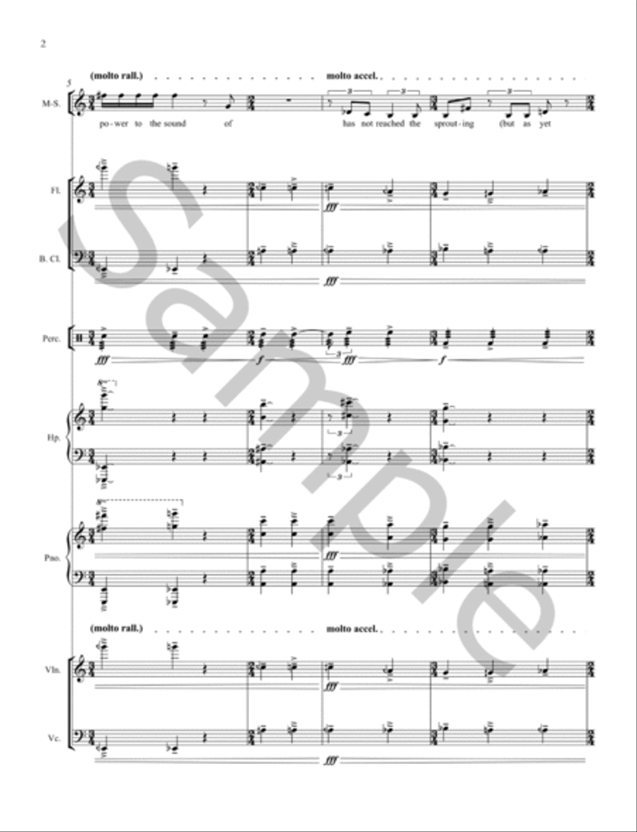 But then, what are these numbers? Clarinet scores gallery preview page 6