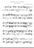 Adagio DUO II for Violin and Cello OPUS XII
