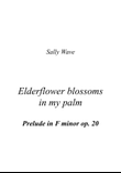 Elderflower blossoms in my palm