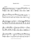 Simcha No. 8