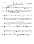 The Eternal Sea - for Alto (or C) Flute and Guitar