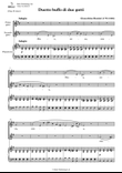 Duetto buffo di due gatti (E minor)