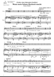 Wenn mein Schatz Hochzeit macht (B minor)
