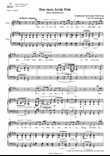 Den store, hvide Flok (Solo song) (E Major)