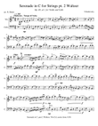 Serenade in C for Strings part 2 (Waltzer) Tchaikovsky for Violin & Cello Duet Easier