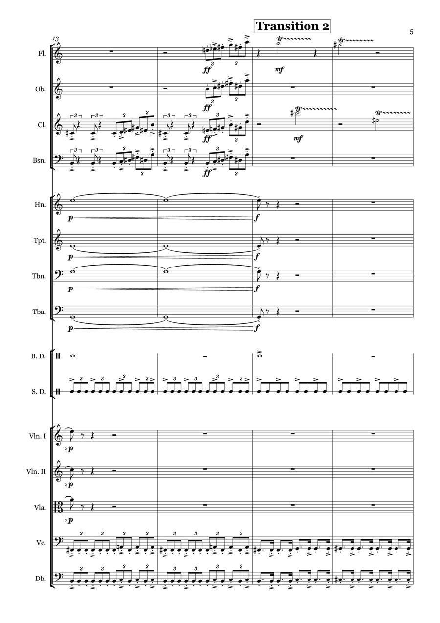 The Shredder's March for orchestra Full Orchestra scores gallery preview page 6