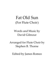 Fat Old Sun