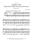Triptych for Organ and Orchestra: Angelus mini preview