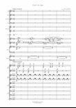 Clair de Lune for Chamber Orchestra