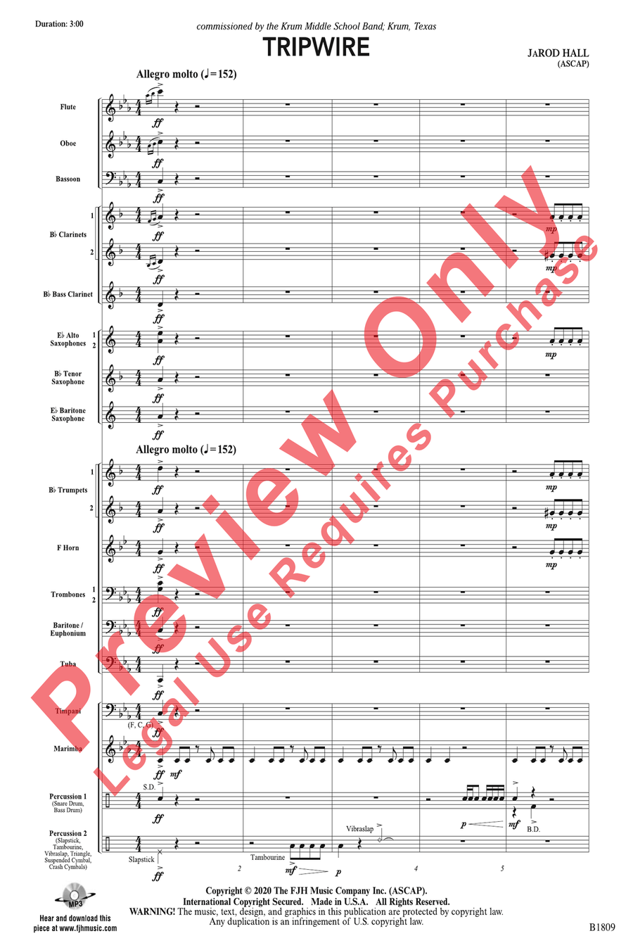 Tripwire Tripwire Concert Band scores gallery preview page 3