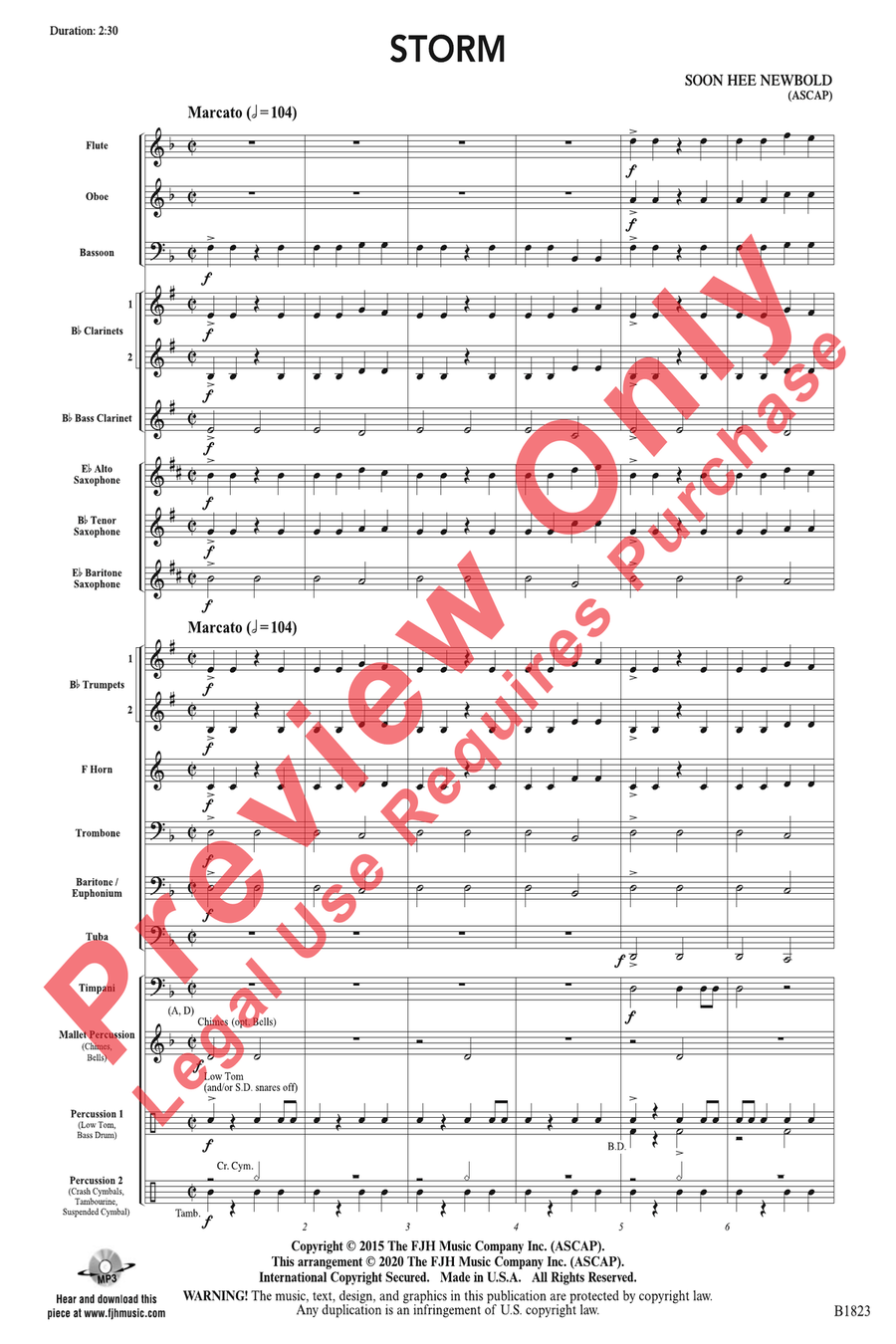 Storm Storm Concert Band scores gallery preview page 3