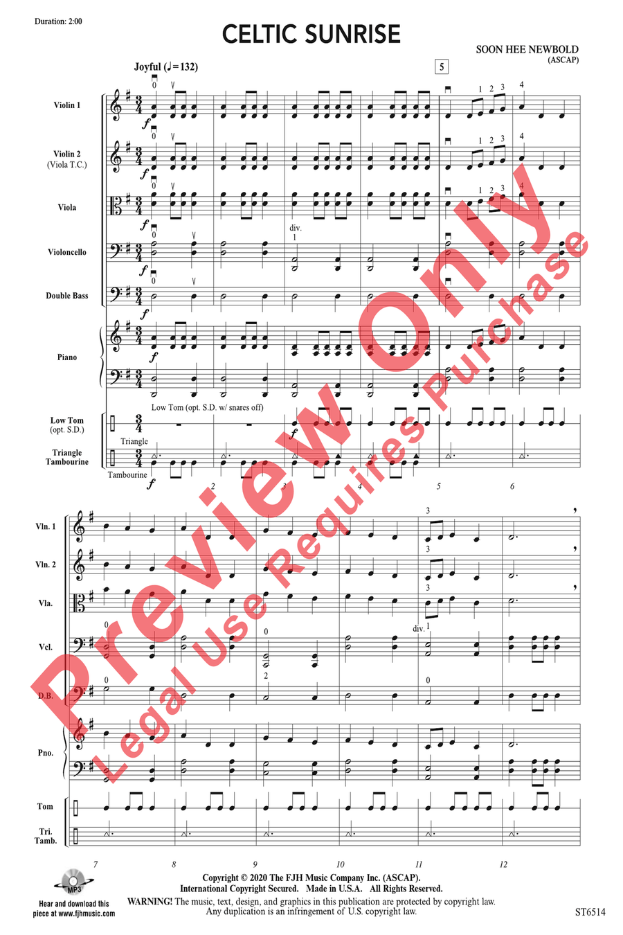 Celtic Sunrise Celtic Sunrise String Orchestra scores gallery preview page 3