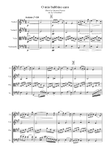 O mio babbino caro for string quartet