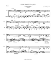 Sonata for tuba and guitar