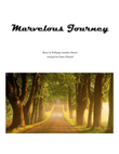 Marvelous Journey