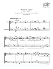 Clair De Lune - Violin & Cello Duet - Claude Debussy arr. Cellobat