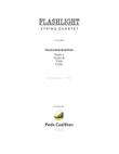 Flashlight