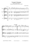 Clarke: Trumpet Voluntary - Prince of Denmark's March for String Quartet
