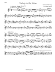 Turkey in the Straw for violin solo
