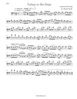 Turkey in the Straw for cello solo