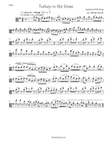 Turkey in the Straw for viola solo