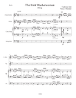 The Irish Washerwoman for Penny Whistle, Violin, Celtic harp and Bass