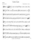 Cielito Lindo String Quartet