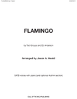 Flamingo