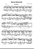 Dentium Medicus Rag