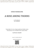 A Rose Among Thorns
