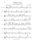 Classical Guitar 